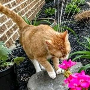 Meet your Posher, Cathy